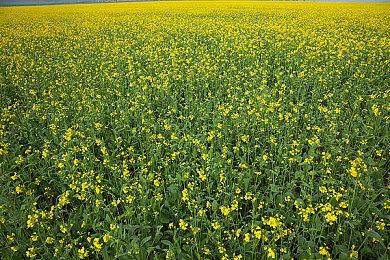 上市八年的老游戏《杀戮空间2》本周末人气飙升